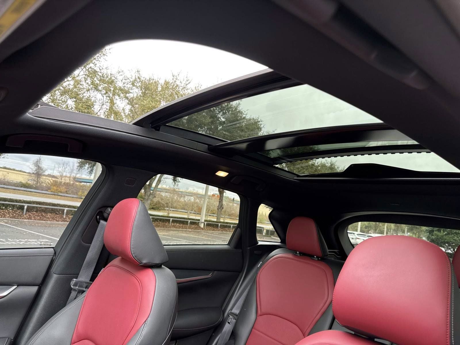 2023 INFINITI QX50 SPORT